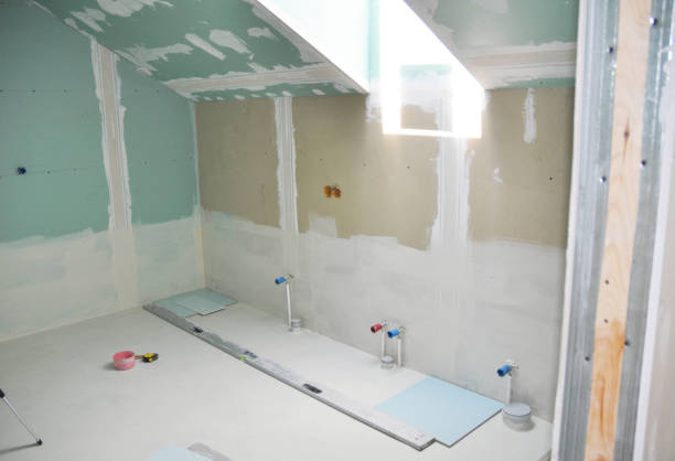 Best Mold-Related Health Consultation  in Annandale, MN