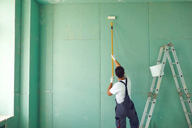 Best Mold Remediation for Healthcare Facilities  in Annandale, MN