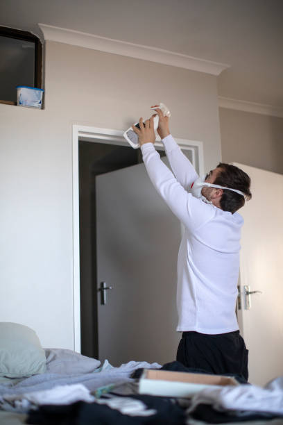 Best Real Estate Mold Inspection  in Annandale, MN