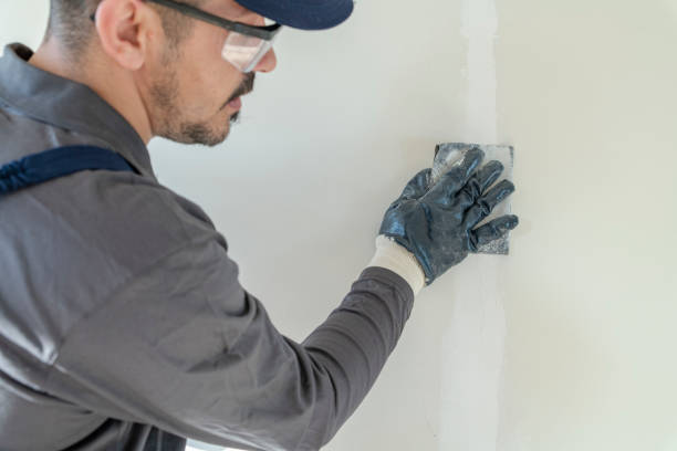 Best Post-Remediation Verification Testing  in Annandale, MN