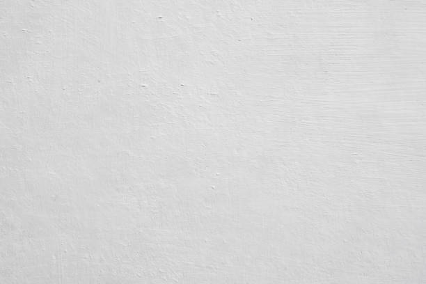 Professional Mold Removal in Annandale, MN
