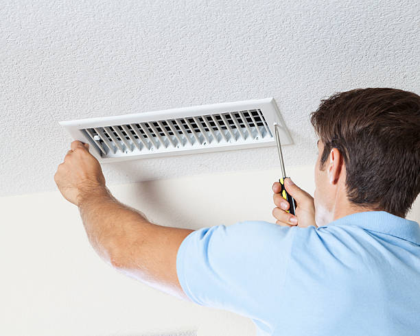 Best Dehumidification Services  in Annandale, MN