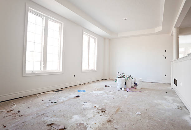 Forensic Mold Investigation in Annandale, MN