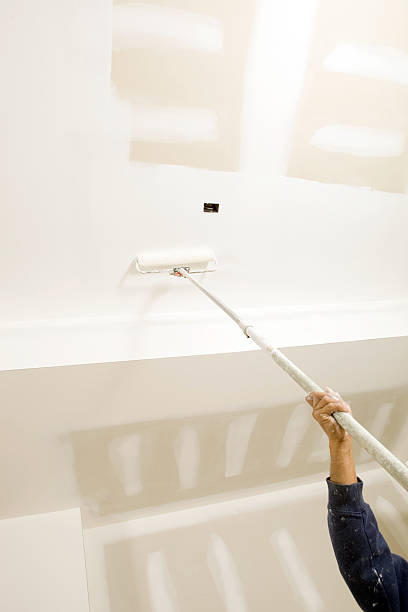 Mold Odor Removal Services in Annandale, MN