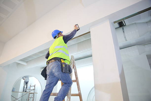 Best Mold Odor Removal Services  in Annandale, MN