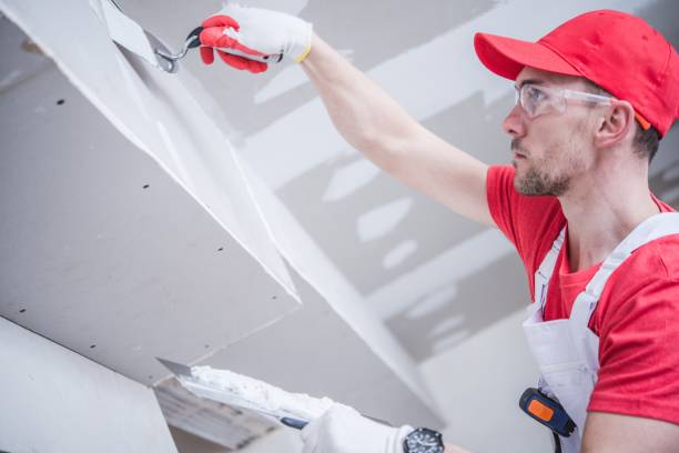 Mold Remediation for Vacation Homes in Annandale, MN