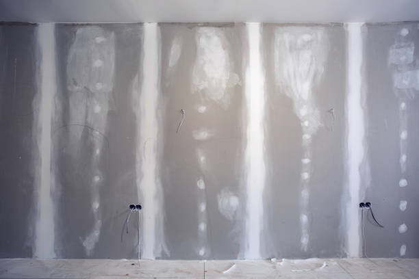 Best Mold Remediation for Vacation Homes  in Annandale, MN
